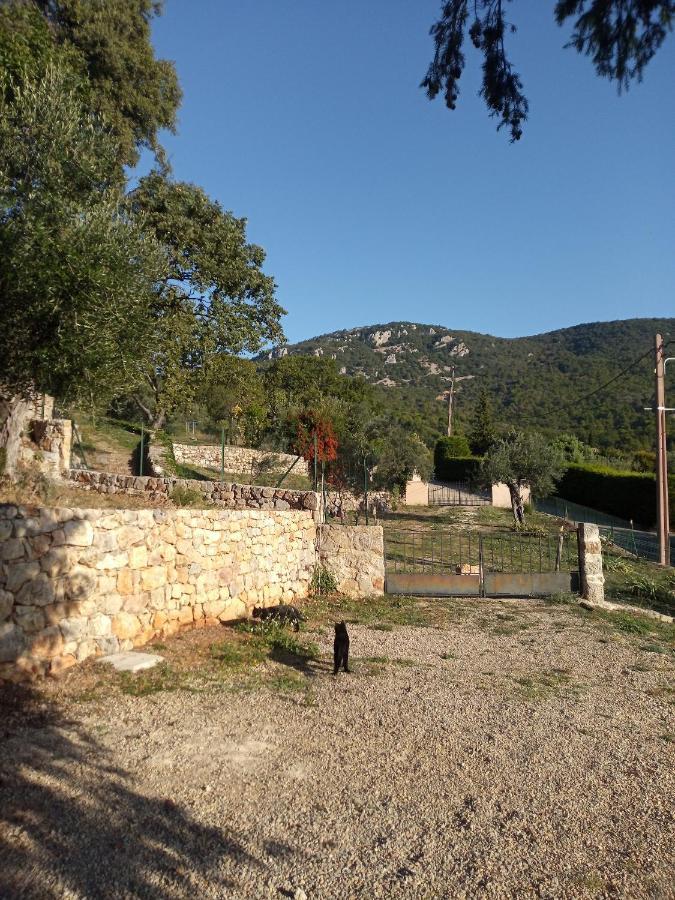 La Bergerie * Bargemon